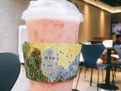 -野萃山·潮汕厚果汁(十亩地店)