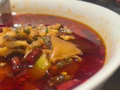 -羊门客在·烤盐池滩羊·川菜