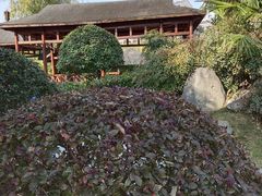 -咸宁万豪温泉谷度假区