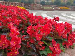 -西南民族大学南区(双流校区)