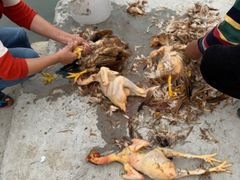 -乡乐园蟹庄·阳澄湖农家乐