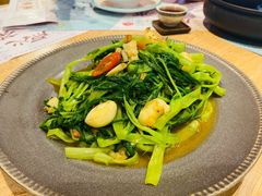 飞天通菜-一笼小幸运