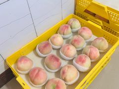 -老袁家蜜桃农场·阳山水蜜桃