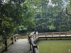 -大奇山国家森林公园