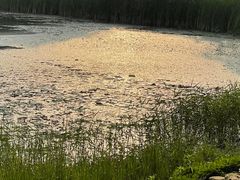 -北龙湖湿地公园