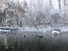 -水磨沟公园