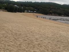 -普陀山风景名胜区-千步大沙