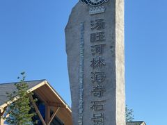 -汤旺河林海奇石景区