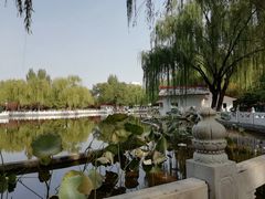 -丰台花园