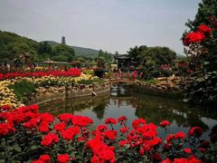 -龙寺生态园