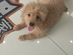 -纳吉亚猫专科动物医院博雅分院
