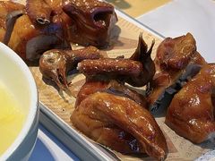 -鸽小宝(深圳首店)