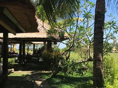 -Bebek Joni Restaurant
