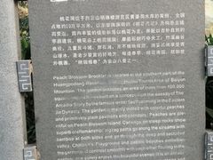 -桃花涧