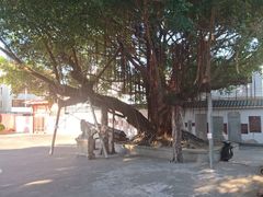 -闽粤南澳总镇府