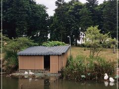 -映月湖公园