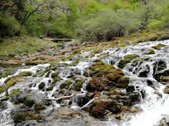 -叠溪松坪沟景区