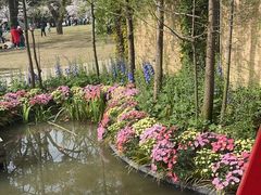 -苏州上方山国家森林公园