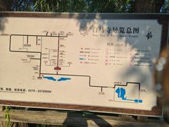 -洛阳白马寺