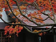 -中国茶叶博物馆(双峰馆区)