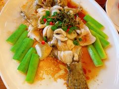 -猪肉婆私房菜(容桂总店)