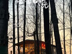-林间山庄