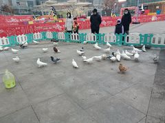 -大族广场Mall&More