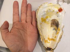 -必点海鲜·海肠捞饭·鲅鱼水饺(滨江道店)