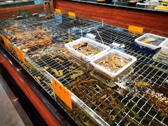 -骆驼阿三饭店(迪赛邻里店)