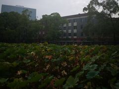 -四川大学(望江校区)