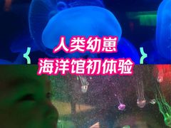 -太平洋海底世界