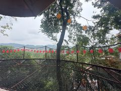 -伴山茶苑·围炉煮茶