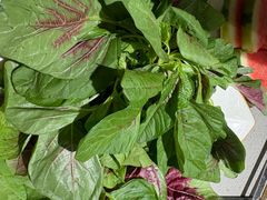 -海底捞火锅(八佰伴店)