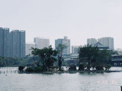 -五缘湾湿地公园