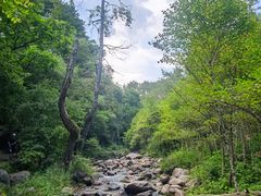 -玉渡山自然风景区