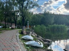 -吉林大学(前卫南区)