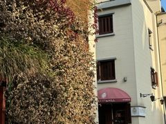 -思南书局(复兴中路店)
