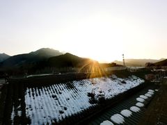 -遥桥古堡