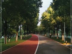 -艾溪湖湿地公园