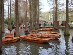 -渌洋湖湿地公园