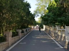 -八大关景区