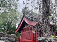 -北京艺术博物馆(万寿寺)