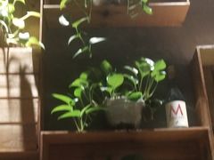 -比格比萨自助(花园路店)