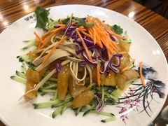 东北大拉皮-东北农家小院(定西路店)