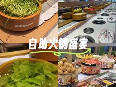 -龍歌自助小火锅(崂山丽达店)