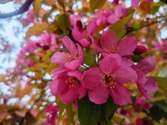 -宣武艺园
