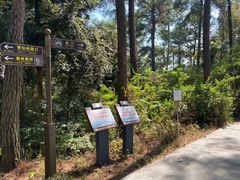 -三门江国家森林公园