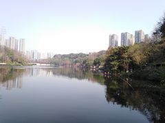 -重庆彩云湖湿地公园