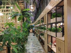 -四季合味椰子鸡(南山大冲店)