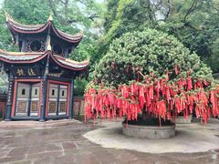-峨眉山报国寺